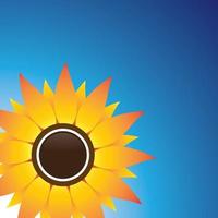 immagine del fiore del sole vettore