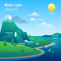 Illustrazione di Infographic del ciclo dell'acqua vettore