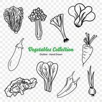 verdure vettore illustrazione, agricoltura pianta, insalata ingrediente, verdura azienda agricola, vegano cibo, biologico cibo