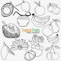 tropicale frutta collezione, schema vettore illustrazione, salutare mangiare, disegnato a mano illustrazione