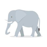 elefante carino cartone animato vettore