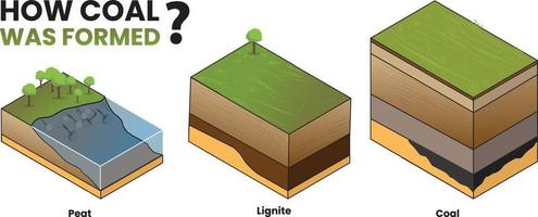 illustrazione di Come era il carbone formato diagramma vettore