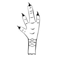 vettore illustrazione disegnato a mano scarabocchio stile pollo gamba