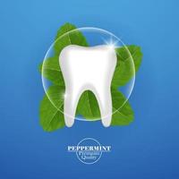 dentale cura con menta piperita foglia vettore