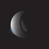 illustrazione di progettazione di eclissi vettore