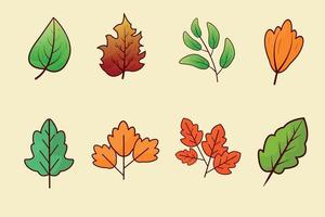 un' impostato di diverso autunno le foglie illustrazione design vettore
