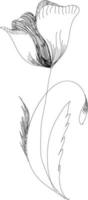 Olanda tulipani su un' bianca sfondo. vettore. mano disegnato opera d'arte. amore concetto per nozze inviti, carte, Biglietti, Congratulazioni, marchio, boutique logo, etichetta. regalo per giovane ragazza e donne vettore