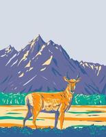 pronghorn o americano antilope nel mille dollari teton nazionale parco Wyoming wpa manifesto arte vettore