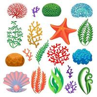 alghe. cartone animato colorato subacqueo scogliera coralli, impianti. acquario, oceano e sottomarino flora, stella marina e conchiglia isolato vettore impostato