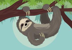 Illustrazione di vettore di bradipo