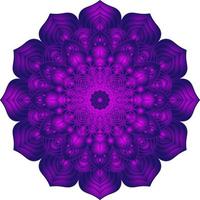 strutturato ricamo floreale 3d colorato mandala modello vettore