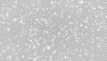 mosche bianche della neve. fiocchi di neve di Natale. illustrazione di sfondo bufera di neve invernale. vettore