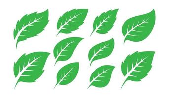 verde le foglie design vettore illustrazione
