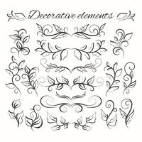 Set di stivale disegnato a mano. Elementi decorativi ornamentali Set floreale vettore