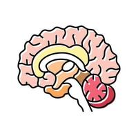neurologia cervello colore icona vettore illustrazione