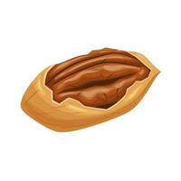 pecan Noce cibo cartone animato vettore illustrazione