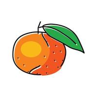 mandarino arancia colore icona vettore illustrazione