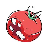 pomodoro marcio cibo colore icona vettore illustrazione