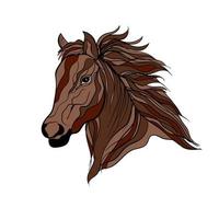cavallo testa arte mano disegnare vettore illustrazione
