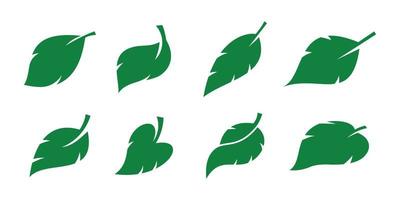 verde foglia icona impostare. verde colore. le foglie su bianca sfondo. vettore