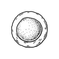 sangue stelo cellula isolato su bianca sfondo. mano disegnato scientifico microbiologia vettore illustrazione nel schizzo stile