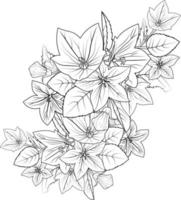 strisciante campanula disegno, campanule illustrazione colorazione pagina, semplicità, abbellimento, monocromo, vettore arte, schema Stampa con fiori Palloncino fiore, mazzo foglie, e mini cuffie,