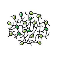 broccoli semi germinazione colore icona vettore illustrazione