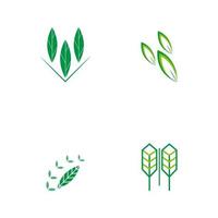 piatto emblema logo design per agricoltura con il concetto di verde le foglie vettore. verde natura logo Usato per agricolo sistemi, agricoltori, e piantagione prodotti. logo modello. vettore