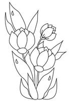 bouquet di bellissimi fiori primaverili con foglie con gocce di rugiada. disegno vettoriale. linea nera, contorno su uno sfondo bianco. pianta del tulipano per la stampa, l'arredamento e il design vettore