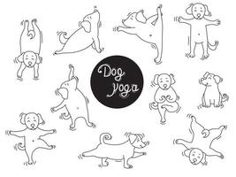 animali domestici di yoga. cane yoga un ampio set di immagini. i cuccioli stanno in un asana e fanno sport, fanno esercizi, hobby domestici. schema. illustrazione vettoriale