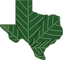 verde Texas grafico design vettore