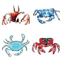 impostato di Marrone, blu, rosso e acqua colore Granchi. vettore eps illustrazione marino animali.