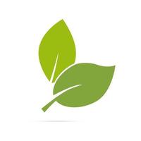 foglia logo etichetta organica eco icona vettore sfondo isolato.