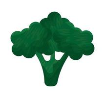 broccoli pianta design vettore