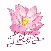 immagine vettoriale di un fiore di loto rosa con scritte originali su sfondo bianco. delicato logo floreale