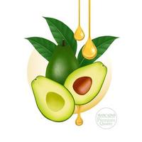 fresco avocado per bene Salute vettore illustrazione