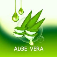 aloe Vera collagene e siero per pelle cura cosmetico vettore