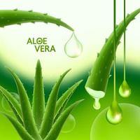 aloe Vera collagene e siero per pelle cura cosmetico vettore