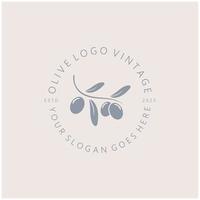 foglia pianta logo e naturale oliva frutta .a base di erbe,oliva olio, cosmetici o bellezza, affari, cosmetologia, agricoltura, ecologia concetto, spa, salute, yoga centro, vettore