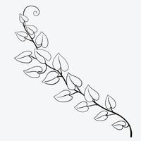 floreale edera disegno decorativo ornamento piatto design. vettore