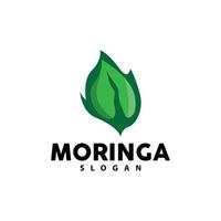 foglia logo, eco verde pianta vettore, verde terra cura raccolta differenziata disegno, moringa foglia logo icona modello illustrazione vettore