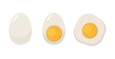 bollito uovo isolato su bianca sfondo. fritte uovo o strapazzate uovo isolato. vettore