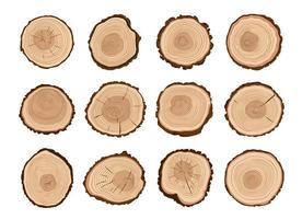albero tronchi, ceppo legna tagliare con età anelli