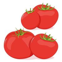 un' impostato di rosso pomodori raccolto nel coppie vettore