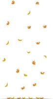 autunno sfondo. caduta le foglie. vettore illustrazione. il telaio di il le foglie. elemento per design attività commerciale carte, inviti, regalo carte, volantini e opuscoli