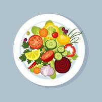 verdura insalata su un' piatto. vettore