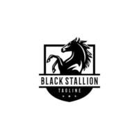 nero stallone logo design. eccezionale un' nero stallone sagoma. un' nero stallone logotipo. vettore