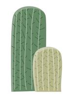 cactus illustrazione nel un' piatto stile su un' bianca sfondo. casa impianti cactus illustrazione. vettore
