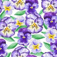 acquerello viola viola del pensiero fiori senza soluzione di continuità modello botanico mano disegno sfondo per regalo carta, tessuto, decorazioni vettore