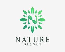 lettera n iniziali verde foglia natura fogliame biologico fresco naturale decorazione vettore logo design